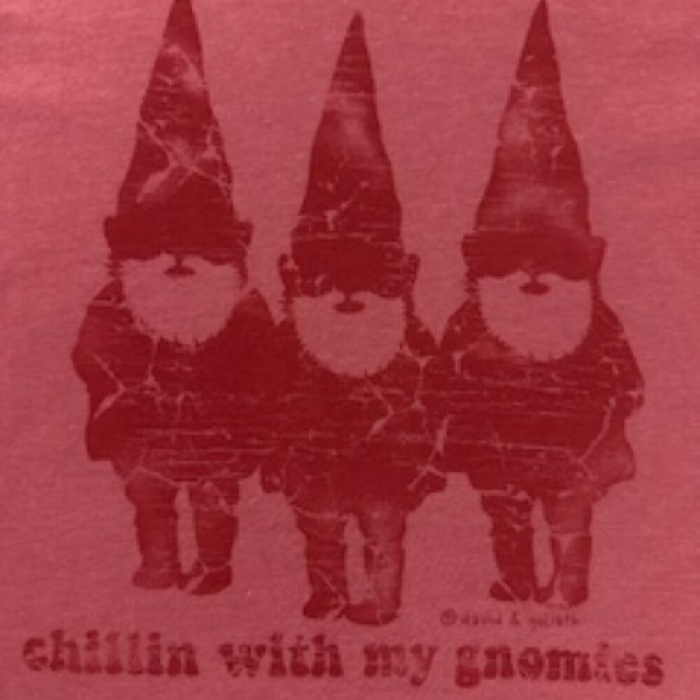 Chillin with my Gnomies Mens T-Shirt